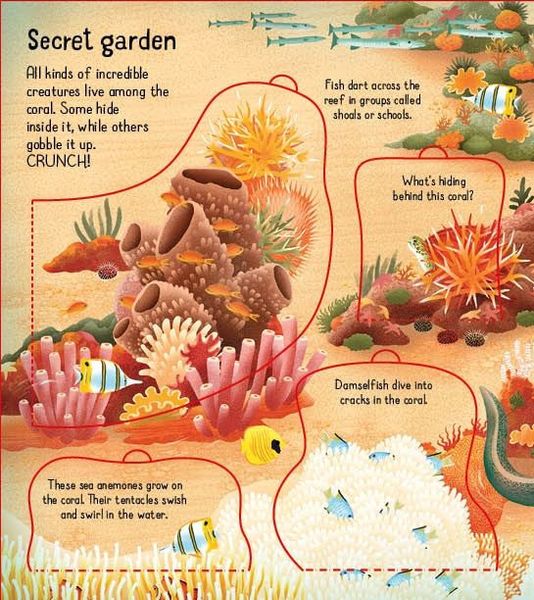 Look inside a Coral Reef/Usborne Look Inside... (hard) v9zNjGpui-lJFTyBu7KBU3 фото