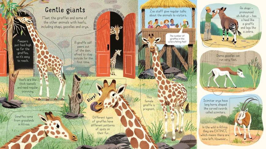 Look Inside a Zoo/Usborne Look Inside... (hard) WRYu5uWvgZ43iUaDpSIqz1 фото