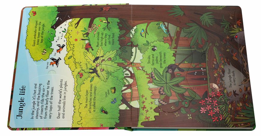 Книга Look inside the Jungle/Usborne Look Inside... (hard) 3kKKixiCg6IsPzHoN8AQl0 фото