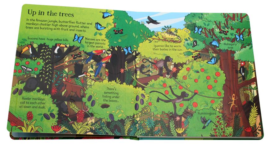 Книга Look inside the Jungle/Usborne Look Inside... (hard) 3kKKixiCg6IsPzHoN8AQl0 фото