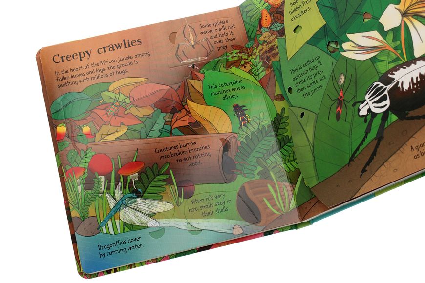 Книга Look inside the Jungle/Usborne Look Inside... (hard) 3kKKixiCg6IsPzHoN8AQl0 фото