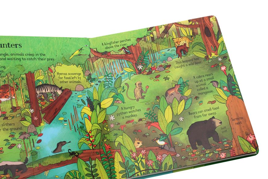 Книга Look inside the Jungle/Usborne Look Inside... (hard) 3kKKixiCg6IsPzHoN8AQl0 фото