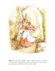 The Complete Adventures of Peter Rabbit (hard) 9780723275886 фото 14